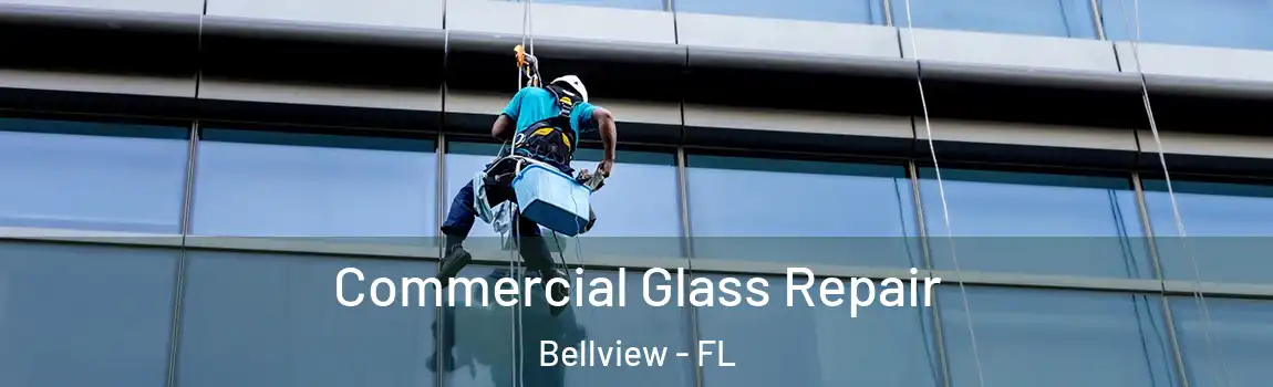 Commercial Glass Repair Bellview - FL