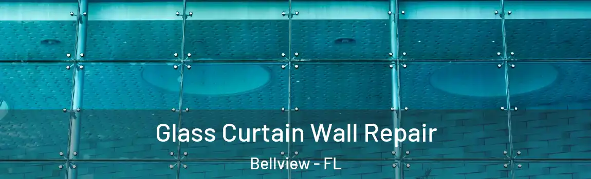 Glass Curtain Wall Repair Bellview - FL