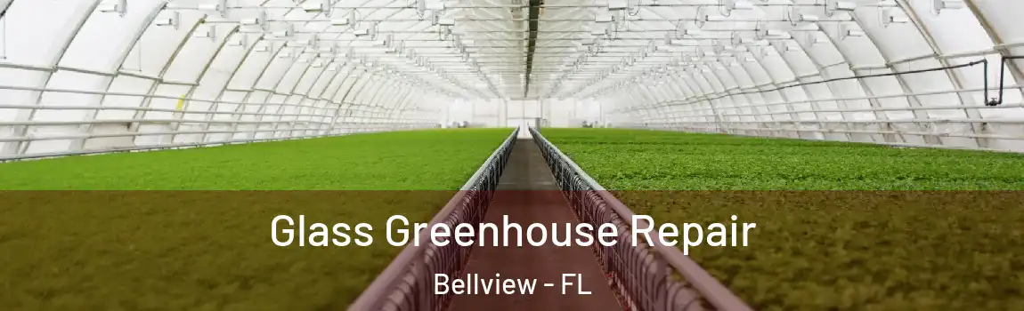 Glass Greenhouse Repair Bellview - FL