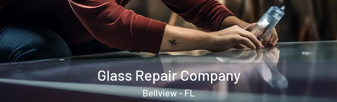 Glass Repair Company Bellview - FL