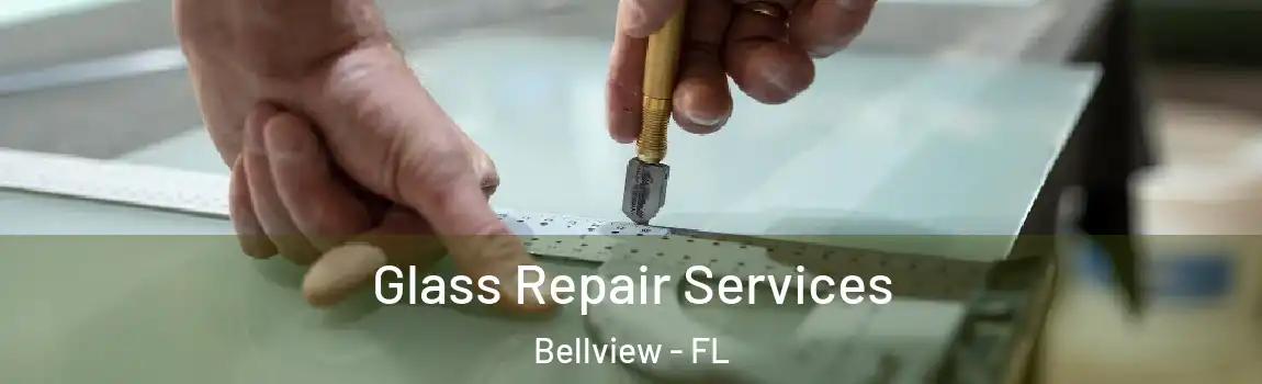 Glass Repair Services Bellview - FL