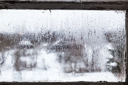 Defogging Double Pane Windows in Bellview, FL