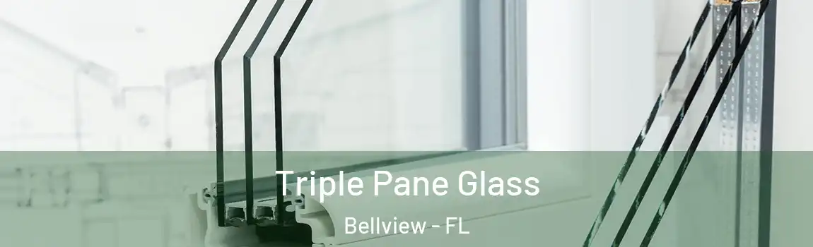 Triple Pane Glass Bellview - FL