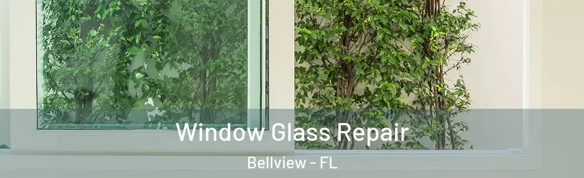 Window Glass Repair Bellview - FL