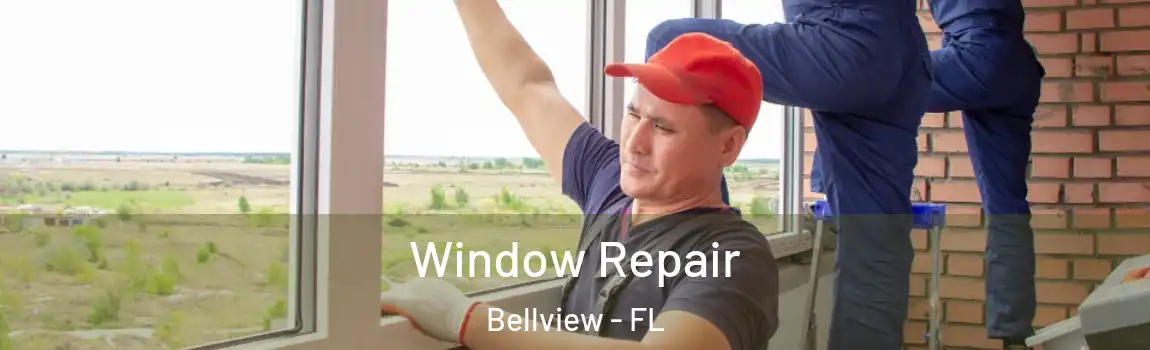 Window Repair Bellview - FL