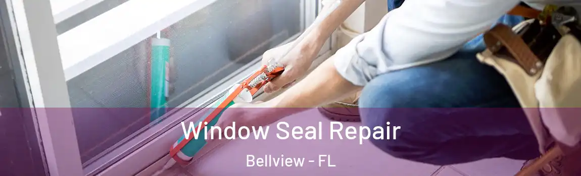 Window Seal Repair Bellview - FL